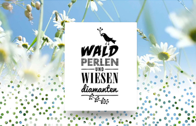 Waldperlen & Wiesendiamanten Website Home
